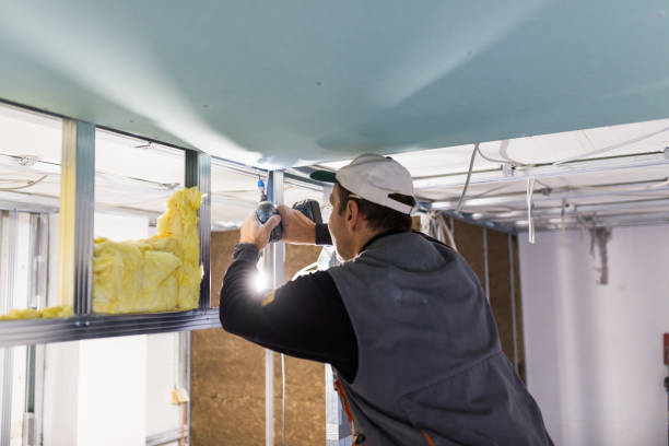 Best Garage Insulation Installation  in Grape Creek, TX