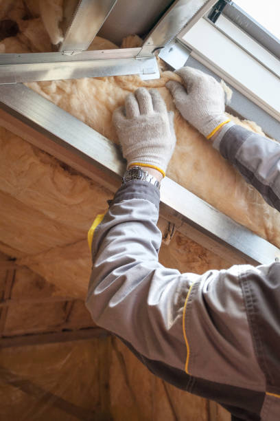 Best Insulation for Commercial Buildings  in Grape Creek, TX
