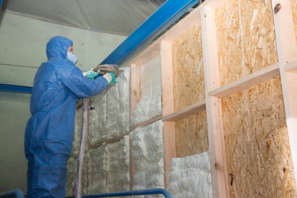 Best Local Insulation Services  in Grape Creek, TX
