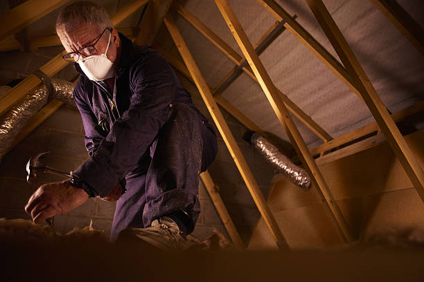 Best Insulation Replacement Services  in Grape Creek, TX